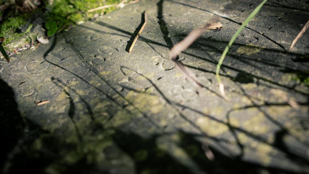Ein auf dem Boden liegender Grabstein, der von Moos umgeben ist und auf dem kleine Stöckchen liegen.