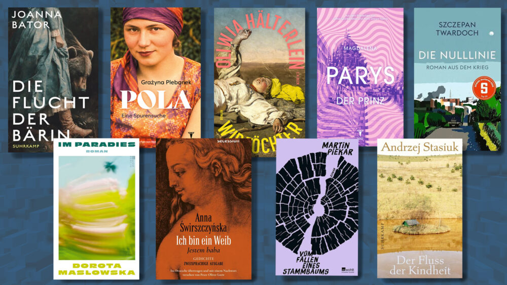 Mehrere bunte Buchcover.