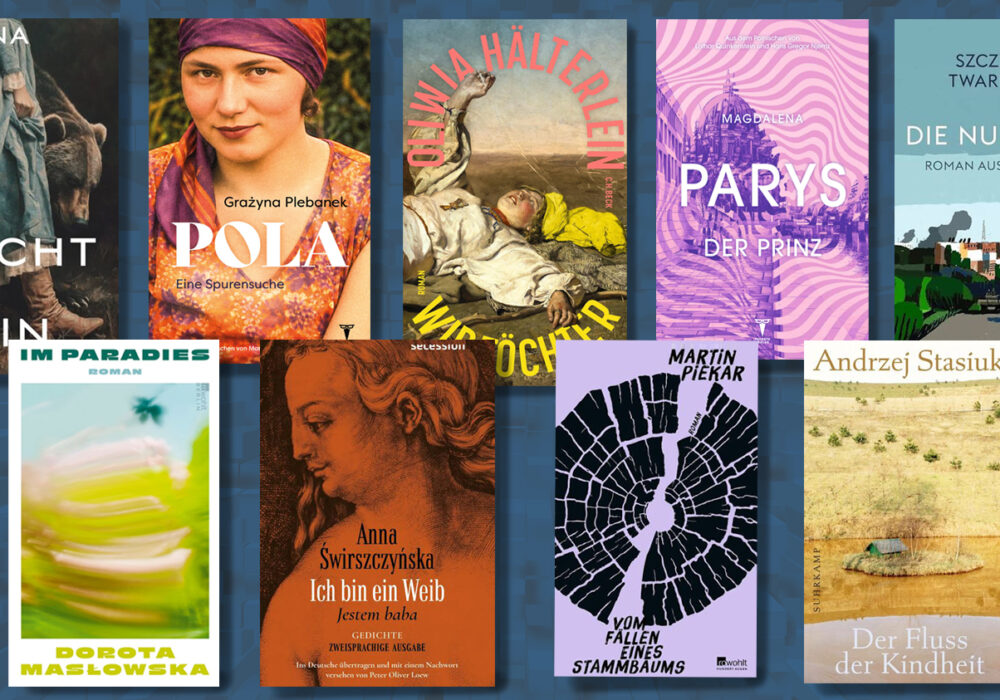 Mehrere bunte Buchcover.